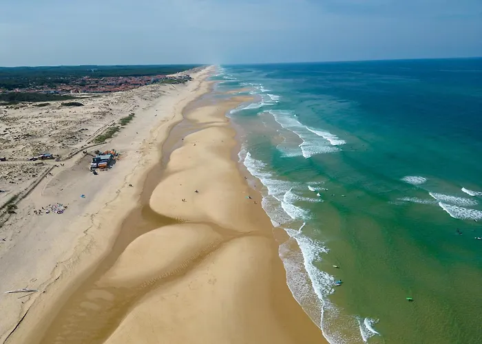 Maison Biscarrosse 4 Pers Proche Lac et Pistes Cyclables Animaux Bienvenus - FR-1-319-484 Hébergement de vacances *